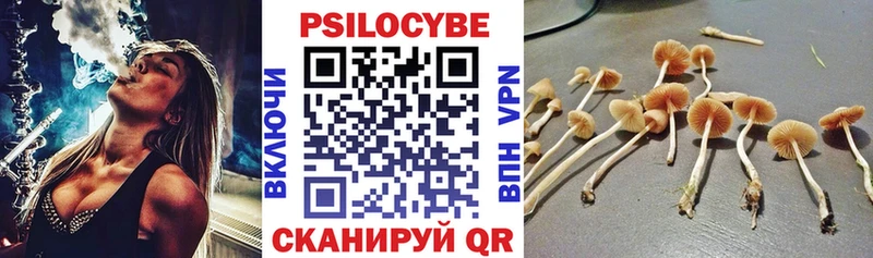 что такое наркотик  Холм  Псилоцибиновые грибы мицелий 
